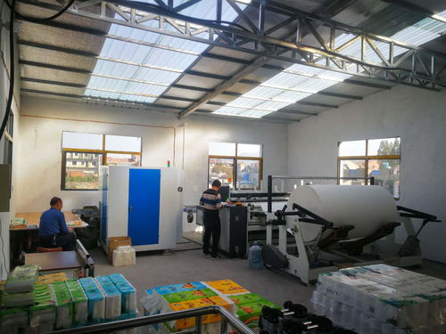 想在農(nóng)村老家辦個(gè)小型衛(wèi)生紙加工廠,需要投資多少錢呢