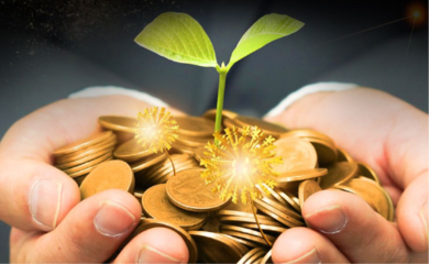 辰麟寶:投資就要選擇穩定的理財平臺