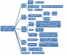 大公司投資管理基準(zhǔn)研究之杉杉控股