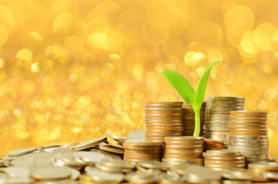 在杭州成立一家3000萬的投資管理公司能花費多少錢你了解嗎