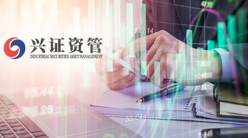 興證資管首只公募化產(chǎn)品即將發(fā)行,自有資金跟投,管理人擬全員參與 投資經(jīng)理風(fēng)格啥樣