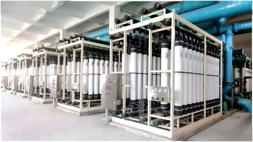 中環膜熱法膜技術入選 節能 防治 雙目錄